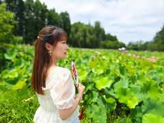 -陶辛水韵