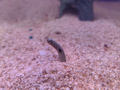 -洛阳龙门海洋馆