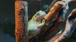 -Zoolung Zoolung动物主题公园(海信广场店)