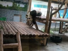 -西安秦岭野生动物园