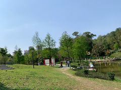 -中山市树木园