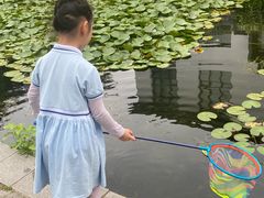 -杭州城北体育公园