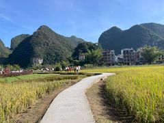 -靖西鹅泉风景区