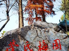 -无锡梅园公园