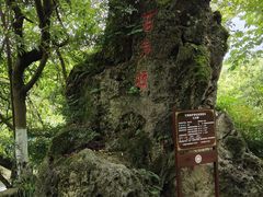 -花溪公园