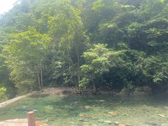 -西岭雪山大飞水景区