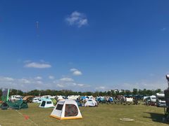 -春花秋色城市公园