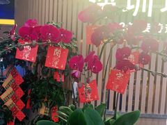 -润园四季椰子鸡火锅(南山海岸城店)