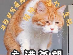 -顺承小院儿