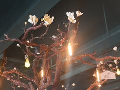 -梧桐树下(云锦世家店)