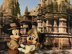 -奥兰多迪士尼动物王国乐园