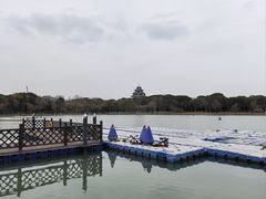 -金鸡湖桃花岛