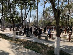 -莲湖公园
