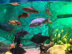 -沈阳海洋探索中心