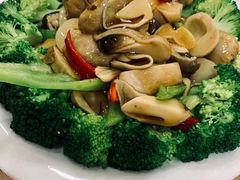 -乡村小镇(新合店)