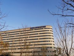 -首都医科大学附属北京天坛医院