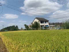 -嘉北郊野公园