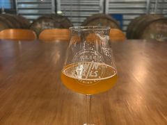 割草机社交IPA-Twin Tails Brewpub双尾精酿餐吧(八坼店)