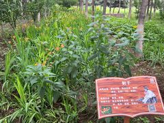 -草根堂农场