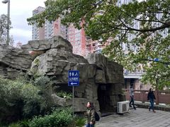 -成都市活水公园