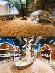 -宝燕乐园(闵行旗舰店)