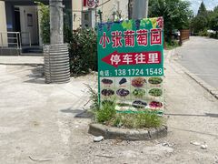 -马陆小张葡萄园农家乐