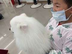 -汪说喵讲宠物乐园宠物酒店(红星美凯龙店)