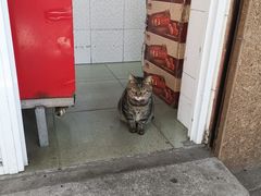 -金栗王(清扬路店)