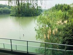 -中国湿地博物馆