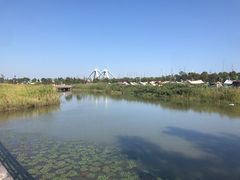 -春花秋色城市公园