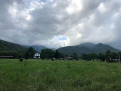 -瑞穗牧场花莲门市