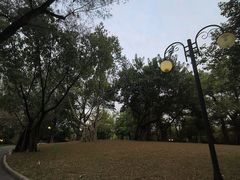 -晓港公园