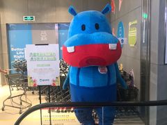 -盒马鲜生(莱蒙都会店)