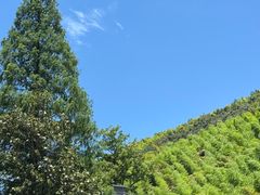 -东明山森林公园
