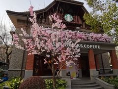 -星巴克臻选(思南公馆店)
