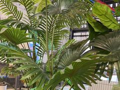 -木屋烧烤(西南角店)