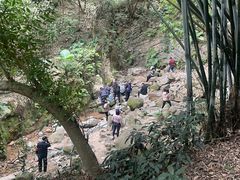 -火炉山森林公园