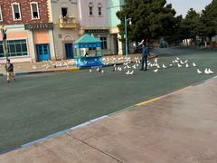 -沈阳方特欢乐世界