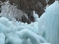 -青峰峡国家森林公园