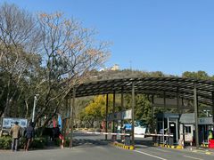 -上海佘山国家森林公园西佘山园