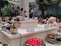 -龙达温泉生态城