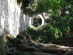 -小洲村