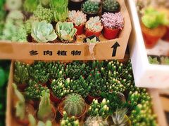 -卜蜂莲花(杨高南路店)