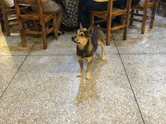 -双门农庄(南源岭店)