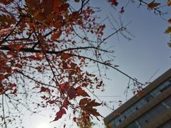 -大连外国语大学(旅顺校区)