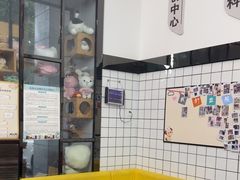 -半岛宠物医院24小时(科华中路店)