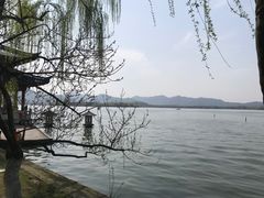 -孙奶奶葱包桧