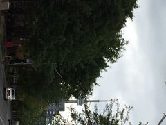 iphone_upload_pic-加拿大国家电视塔