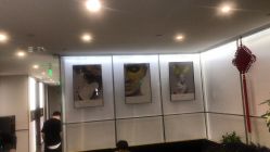 -崇尚GAVIN STYLE臻选