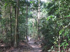 -武吉知马自然保护区